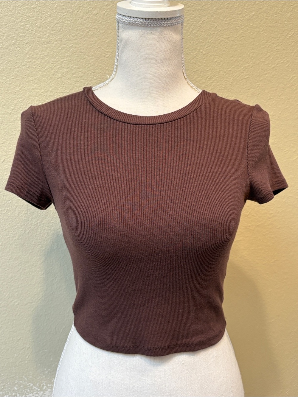 Garage Brown Ribbed Crop Tee, Size P/S